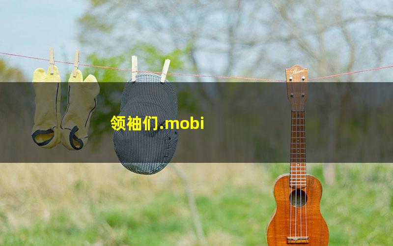领袖们.mobi