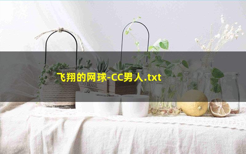 飞翔的网球-CC男人.txt