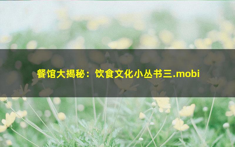 餐馆大揭秘：饮食文化小丛书三.mobi txt/pdf/azw3/mobi电子版百度夸克网盘下载