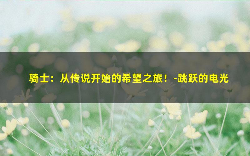 骑士：从传说开始的希望之旅！-跳跃的电光.txt txt/pdf/azw3/mobi电子版百度夸克网盘下载