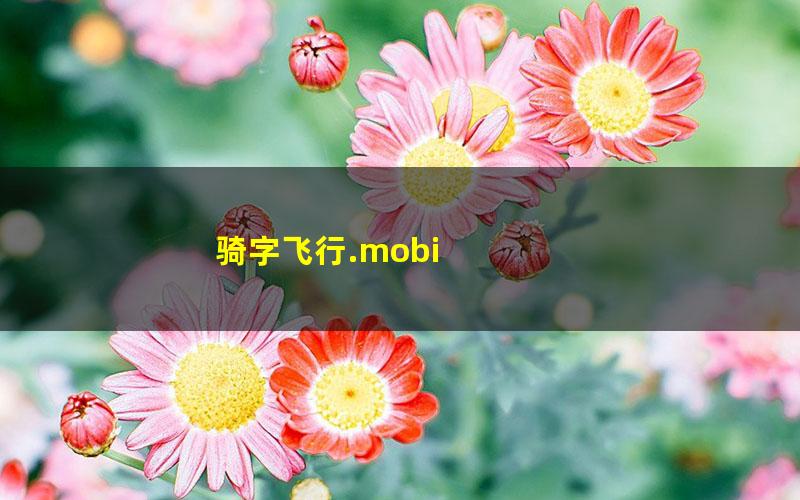 骑字飞行.mobi