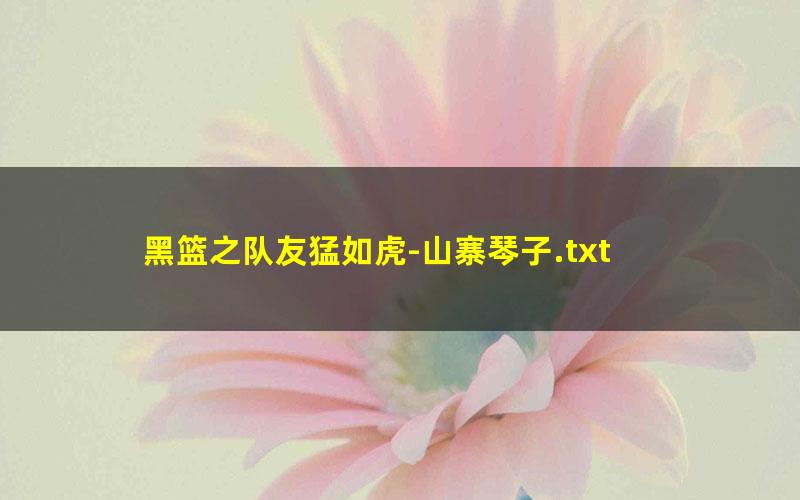 黑篮之队友猛如虎-山寨琴子.txt